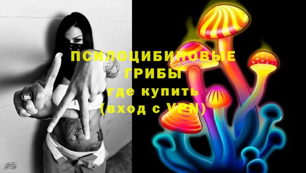 PSILOCYBIN Карталы