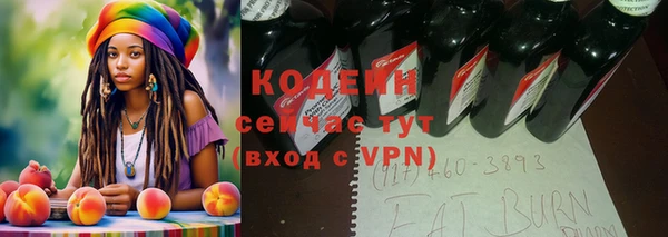 гашик Карпинск