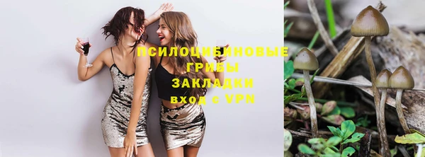 винт Касимов