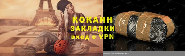 гашик Карпинск