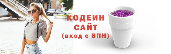 гашик Карпинск