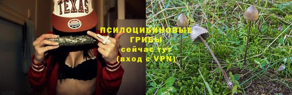 винт Касимов