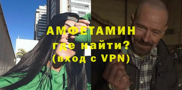гашик Карпинск