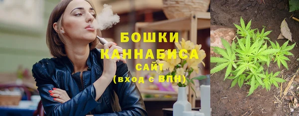 PSILOCYBIN Карталы