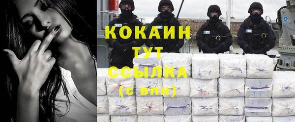 гашик Карпинск