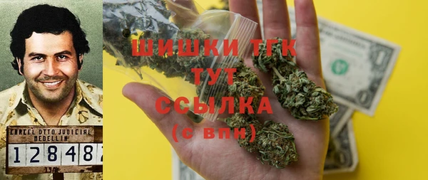 гашик Карпинск