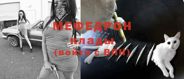 гашик Карпинск
