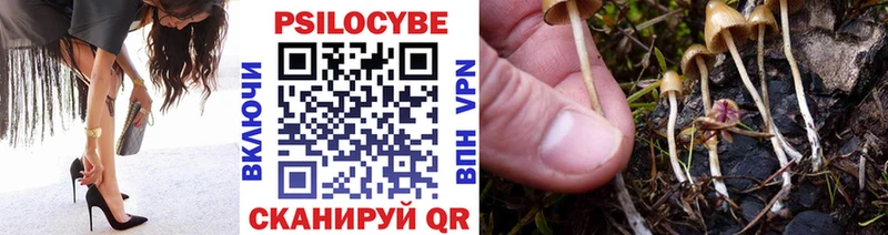 Купить  Северобайкальск  Псилоцибиновые грибы Magic Shrooms 